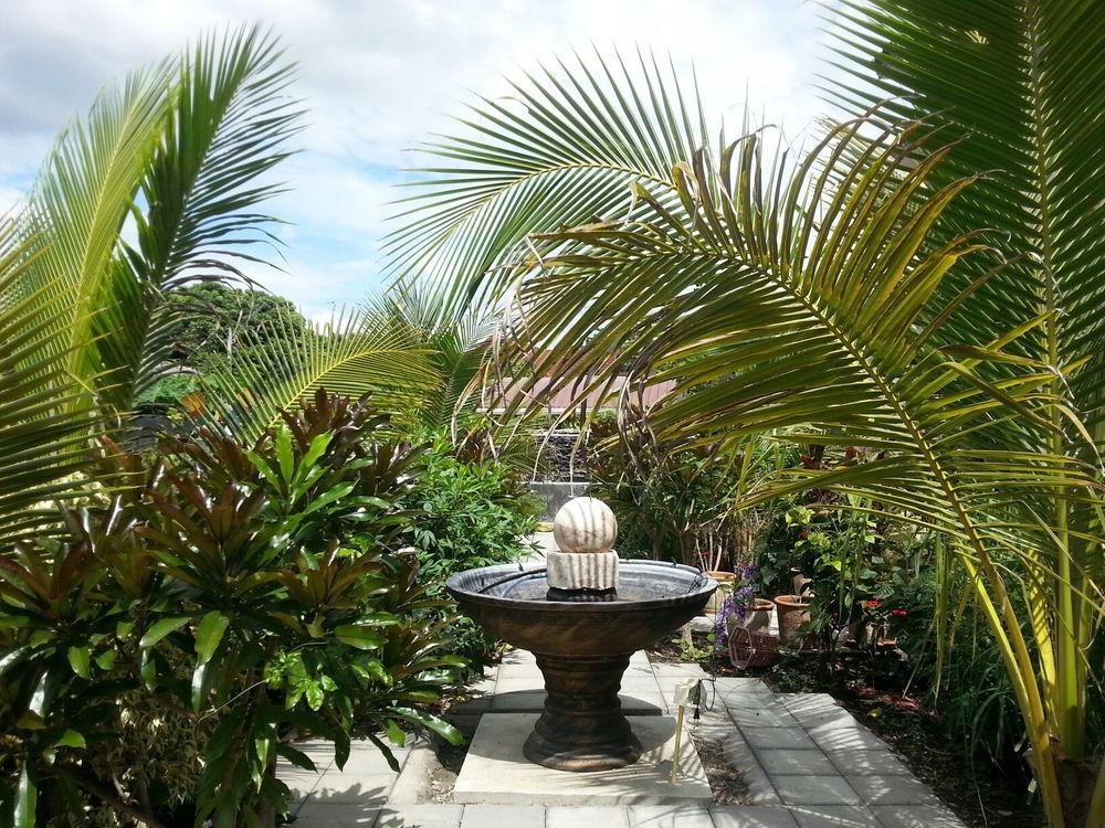 Donchai House Guest House& Cafe Чиангмай Экстерьер фото